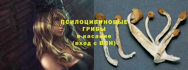 гидра Баксан