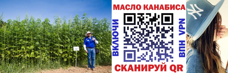 ТГК THC oil  цены   hydra как зайти  Петровск 