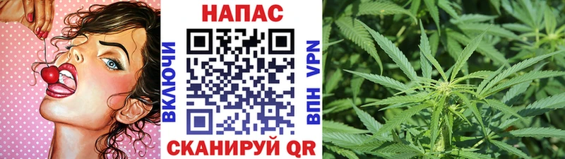 darknet формула Петровск Марихуана сатива hydra как войти